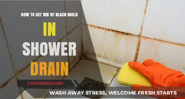 Effective Ways to Eliminate Black Mold in Your Shower Drain