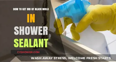 Effective Ways to Remove Black Mold from Shower Sealant