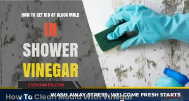 Effective Vinegar Methods to Eliminate Black Mold in Your Shower