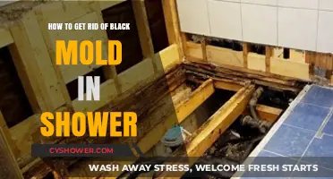 Effective Ways to Eliminate Black Mold in Your Shower