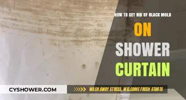 Effective Ways to Remove Black Mold from Your Shower Curtain