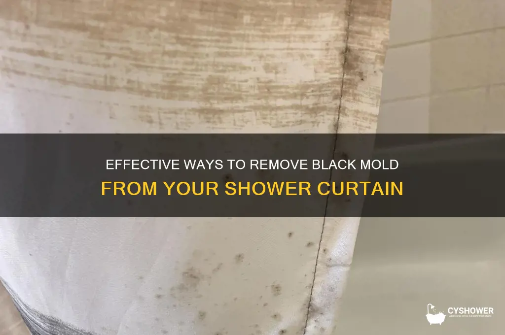 how to get rid of black mold on shower curtain