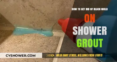 Effective Ways to Eliminate Black Mold from Shower Grout