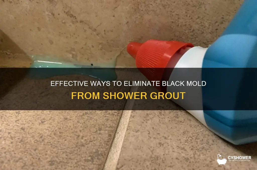 how to get rid of black mold on shower grout
