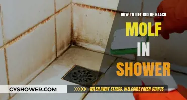 Effective Ways to Remove Black Mold from Your Shower Safely