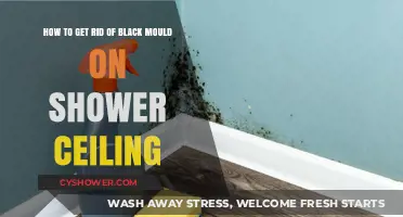 Effective Ways to Remove Black Mould from Shower Ceilings