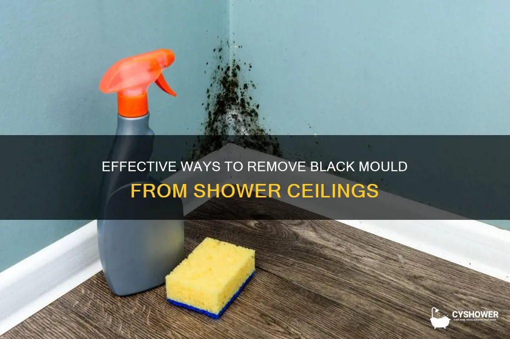 how to get rid of black mould on shower ceiling
