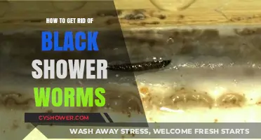 Effective Ways to Eliminate Black Drain Worms in Your Shower