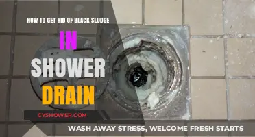 Effective Ways to Eliminate Black Sludge from Your Shower Drain