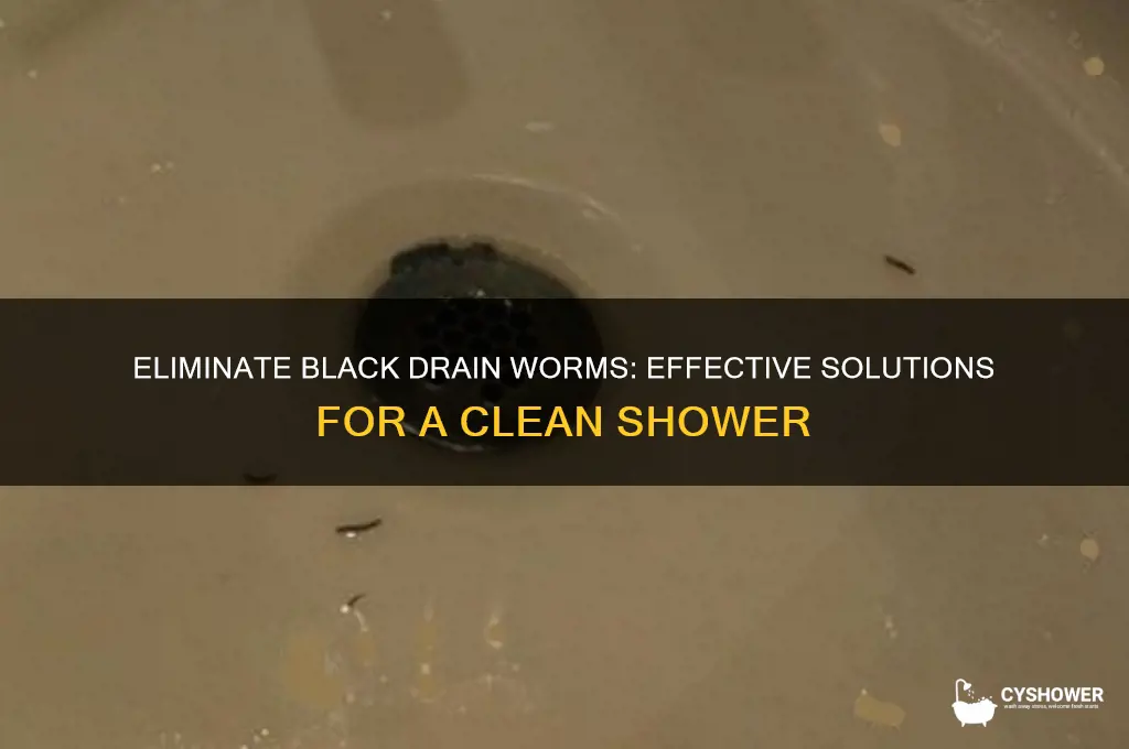 how to get rid of black worms in shower
