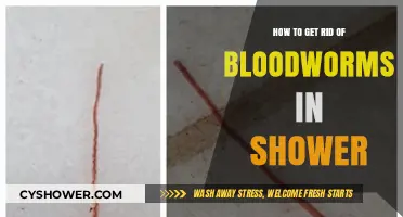 Effective Ways to Eliminate Bloodworms from Your Shower Drain