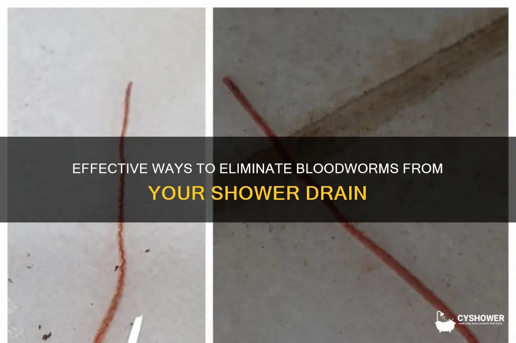 how to get rid of bloodworms in shower