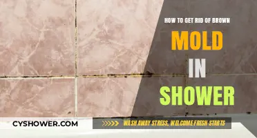 Effective Ways to Eliminate Brown Mold in Your Shower