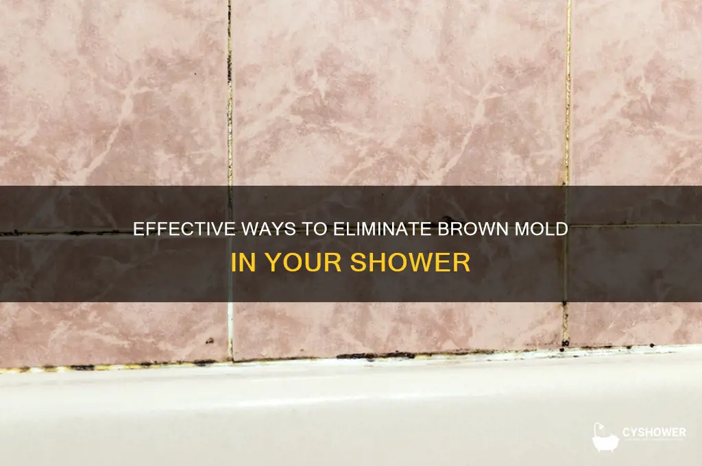 how to get rid of brown mold in shower