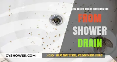 Effective Ways to Eliminate Bugs Crawling from Your Shower Drain