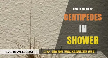 Effective Ways to Eliminate Centipedes from Your Shower Area
