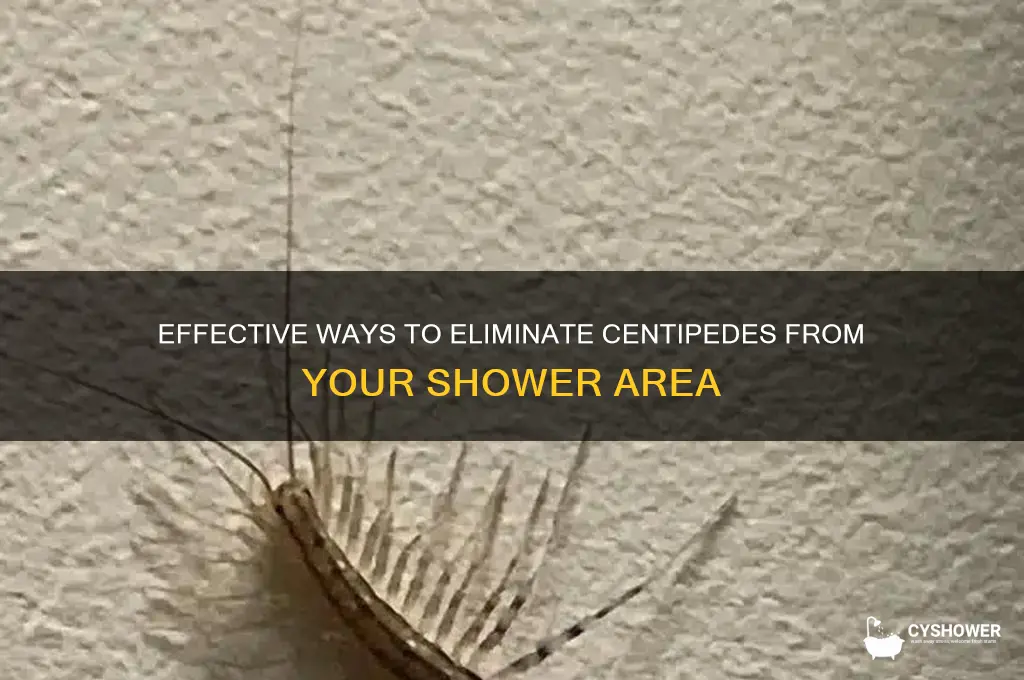 how to get rid of centipedes in shower