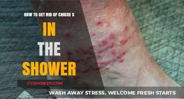 Effective Ways to Eliminate Chiggers in Your Shower Area