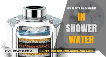 Effective Ways to Remove Chlorine from Your Shower Water