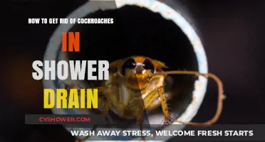 Effective Ways to Eliminate Cockroaches from Your Shower Drain