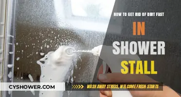 Quick Shower Stall Cleaning: Effective Tips to Remove Dirt Fast