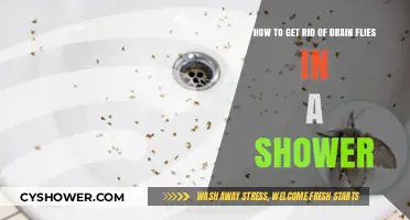 Effective Ways to Eliminate Drain Flies from Your Shower Quickly