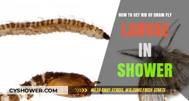 Effective Ways to Eliminate Drain Fly Larvae in Your Shower