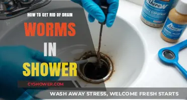 Effective Ways to Eliminate Drain Worms in Your Shower