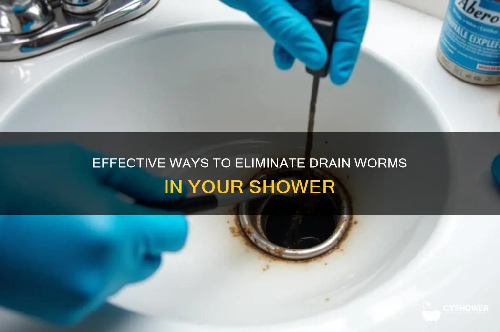 how to get rid of drain worms in shower