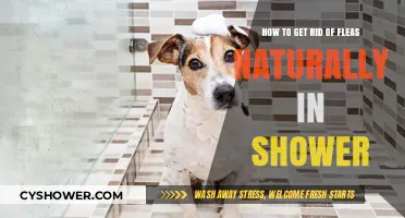 Natural Flea Removal: Shower Solutions for a Pest-Free Home
