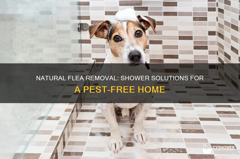 how to get rid of fleas naturally in shower