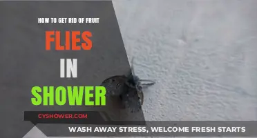 Effective Ways to Eliminate Fruit Flies from Your Shower Quickly