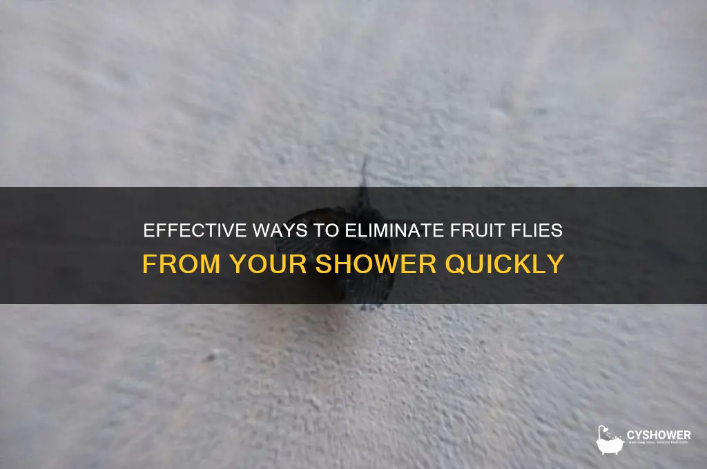 how to get rid of fruit flies in shower