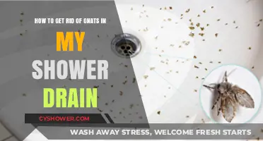 Effective Ways to Eliminate Gnats from Your Shower Drain