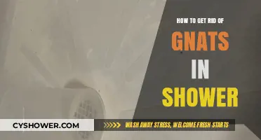 Effective Ways to Eliminate Gnats from Your Shower Space