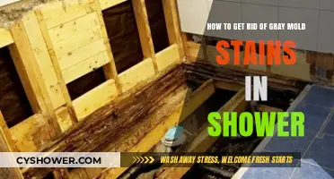 Effective Ways to Remove Gray Mold Stains from Your Shower