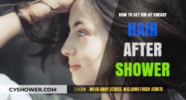 Banish Greasy Hair Post-Shower: Quick Fixes and Long-Term Solutions