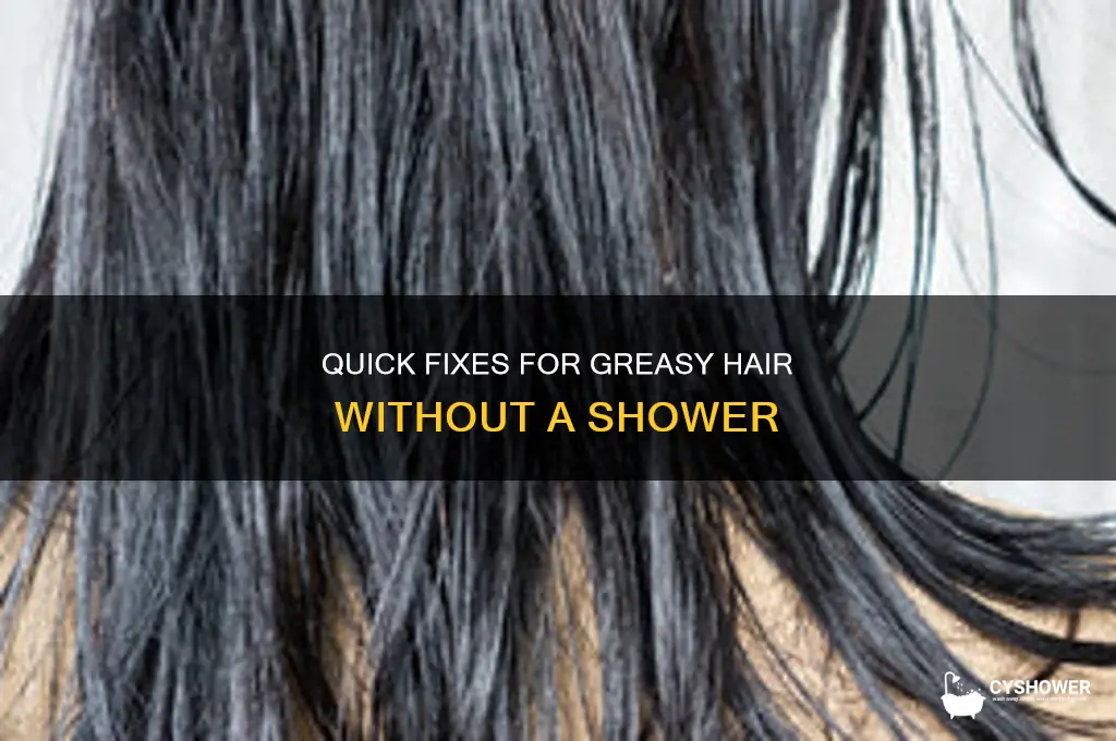 how to get rid of greasy hair without a shower