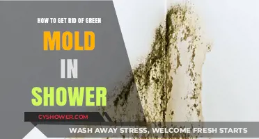 Effective Ways to Eliminate Green Mold in Your Shower Quickly