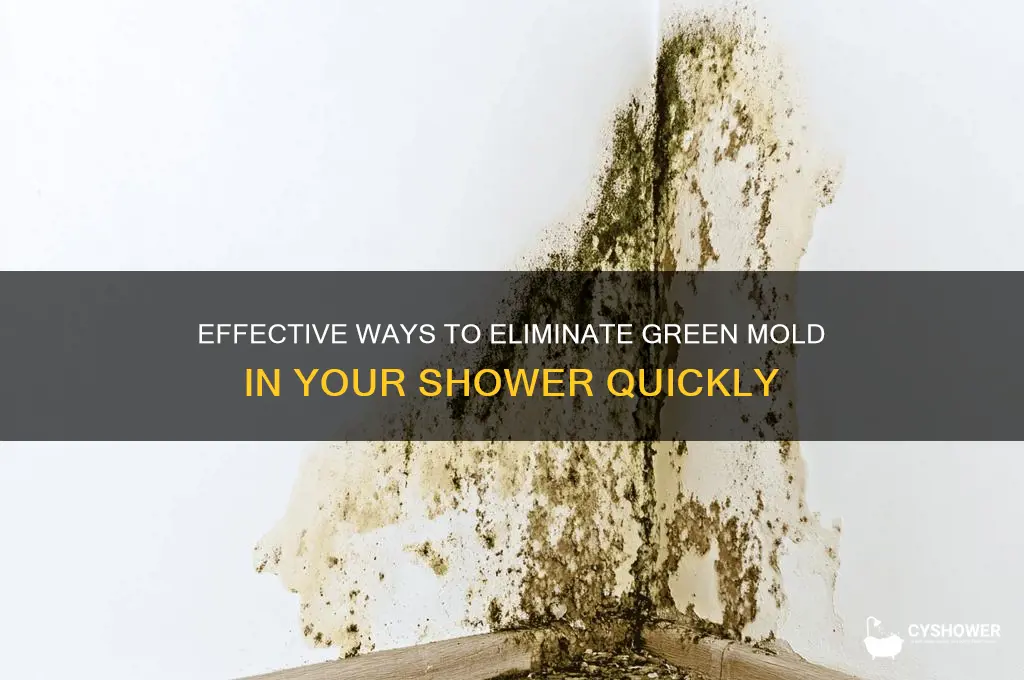 how to get rid of green mold in shower