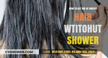 Quick Fixes for Greasy Hair Without Showering: Easy Solutions