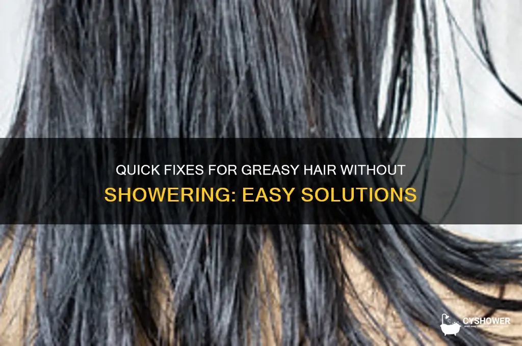 how to get rid of greesy hair wtitohut shower