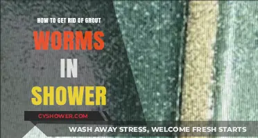 Effective Ways to Eliminate Grout Worms in Your Shower