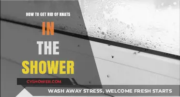 Effective Ways to Eliminate Shower Knats and Keep Them Away