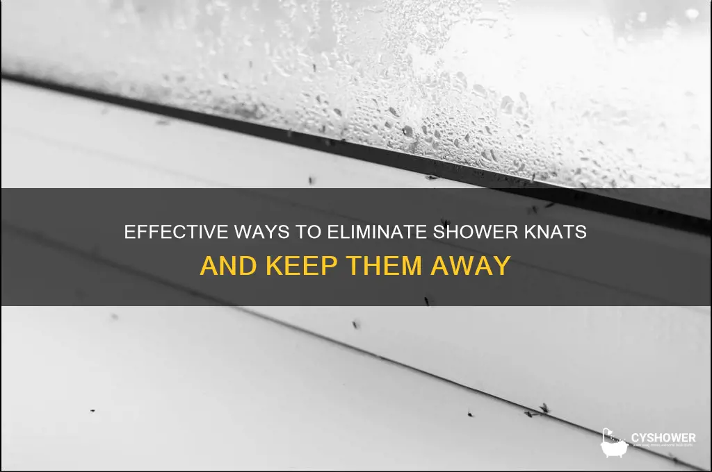 how to get rid of knats in the shower