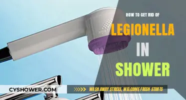Effective Ways to Eliminate Legionella Bacteria in Your Shower