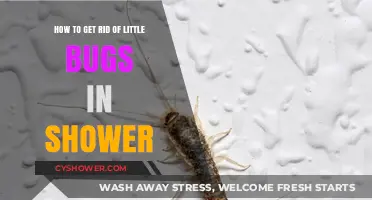 Effective Ways to Eliminate Tiny Shower Bugs for Good