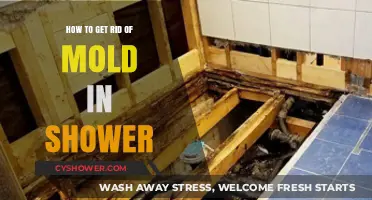 Effective Ways to Eliminate Shower Mold and Prevent Regrowth