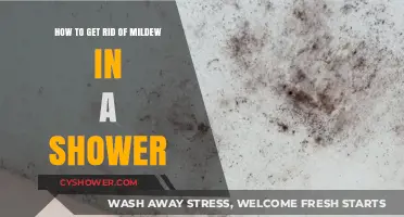 Effective Ways to Eliminate Mildew in Your Shower Quickly