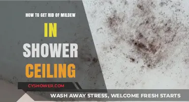 Effective Ways to Remove Mildew from Your Shower Ceiling